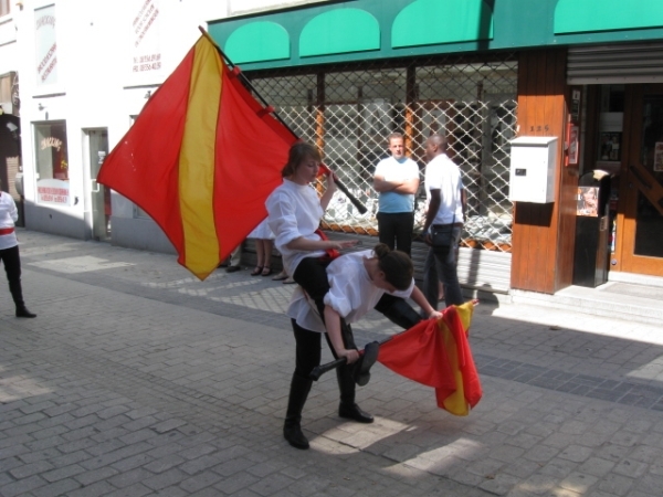 Halle Mariaprocessie 098