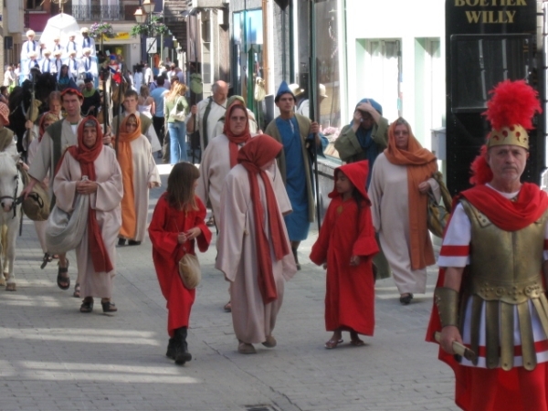 Halle Mariaprocessie 100