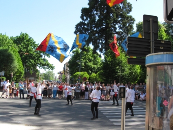 Halle Mariaprocessie 102