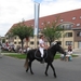 Sint-Paulus paardenprocessie Opwijk 08 012