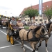 Sint-Paulus paardenprocessie Opwijk 08 017