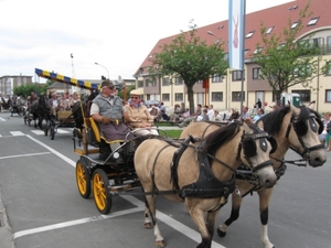 Sint-Paulus paardenprocessie Opwijk 08 017