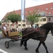 Sint-Paulus paardenprocessie Opwijk 08 018