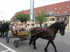 Sint-Paulus paardenprocessie Opwijk 08 018