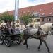 Sint-Paulus paardenprocessie Opwijk 08 020