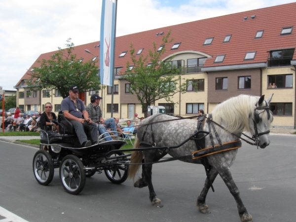 Sint-Paulus paardenprocessie Opwijk 08 020