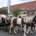 Sint-Paulus paardenprocessie Opwijk 08 021
