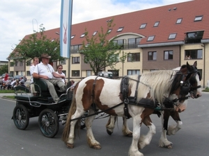 Sint-Paulus paardenprocessie Opwijk 08 021