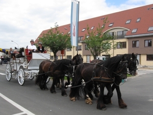 Sint-Paulus paardenprocessie Opwijk 08 022