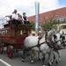 Sint-Paulus paardenprocessie Opwijk 08 024