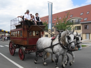 Sint-Paulus paardenprocessie Opwijk 08 024