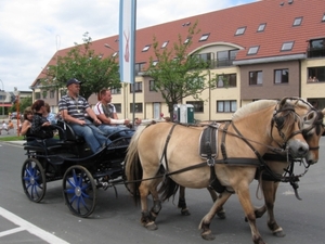 Sint-Paulus paardenprocessie Opwijk 08 026