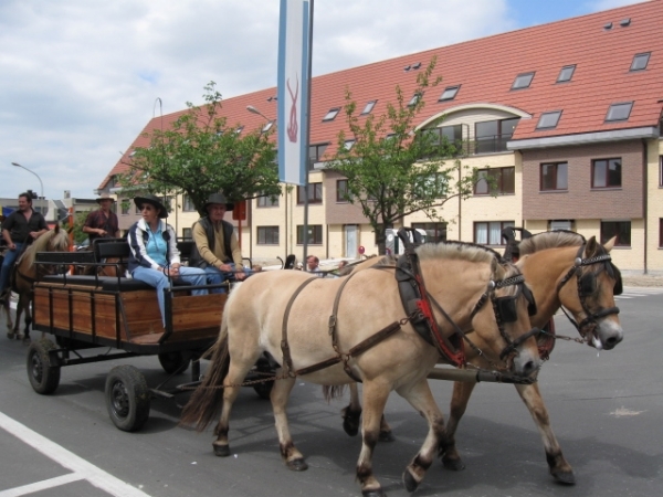 Sint-Paulus paardenprocessie Opwijk 08 027