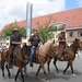 Sint-Paulus paardenprocessie Opwijk 08 028