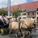 Sint-Paulus paardenprocessie Opwijk 08 029