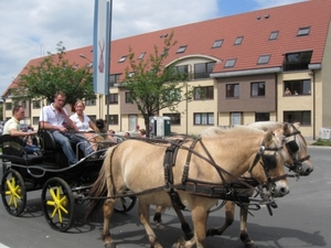 Sint-Paulus paardenprocessie Opwijk 08 029