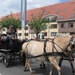 Sint-Paulus paardenprocessie Opwijk 08 030