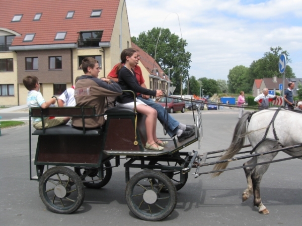 Sint-Paulus paardenprocessie Opwijk 08 031