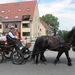 Sint-Paulus paardenprocessie Opwijk 08 032