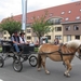 Sint-Paulus paardenprocessie Opwijk 08 033