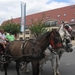 Sint-Paulus paardenprocessie Opwijk 08 034