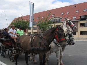 Sint-Paulus paardenprocessie Opwijk 08 034