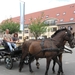 Sint-Paulus paardenprocessie Opwijk 08 035