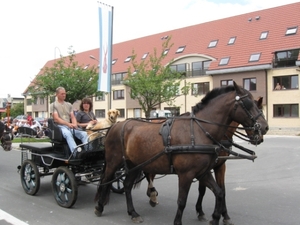 Sint-Paulus paardenprocessie Opwijk 08 035