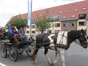 Sint-Paulus paardenprocessie Opwijk 08 036