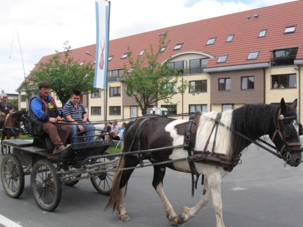 Sint-Paulus paardenprocessie Opwijk 08 036