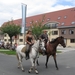 Sint-Paulus paardenprocessie Opwijk 08 037