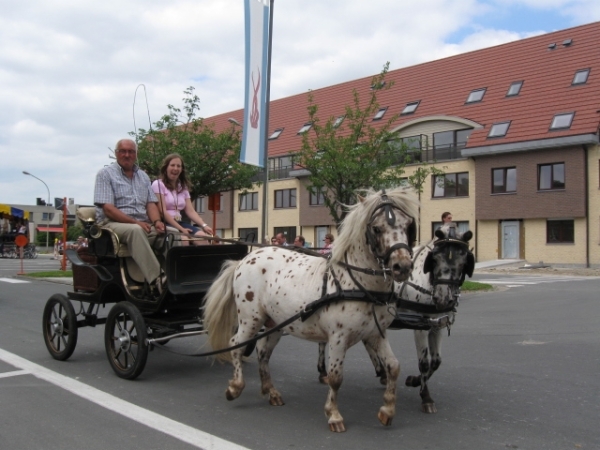 Sint-Paulus paardenprocessie Opwijk 08 038