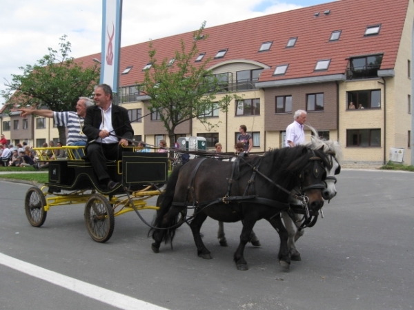 Sint-Paulus paardenprocessie Opwijk 08 039