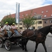 Sint-Paulus paardenprocessie Opwijk 08 040