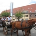 Sint-Paulus paardenprocessie Opwijk 08 041