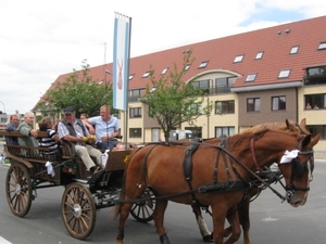 Sint-Paulus paardenprocessie Opwijk 08 041