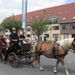 Sint-Paulus paardenprocessie Opwijk 08 042