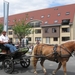 Sint-Paulus paardenprocessie Opwijk 08 043