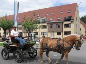 Sint-Paulus paardenprocessie Opwijk 08 043