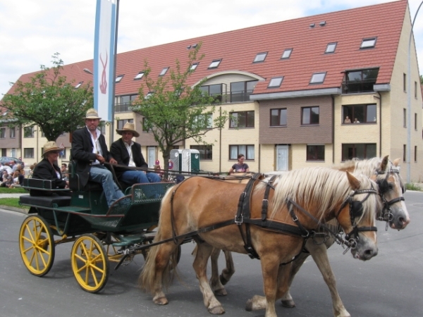 Sint-Paulus paardenprocessie Opwijk 08 045