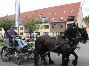 Sint-Paulus paardenprocessie Opwijk 08 046