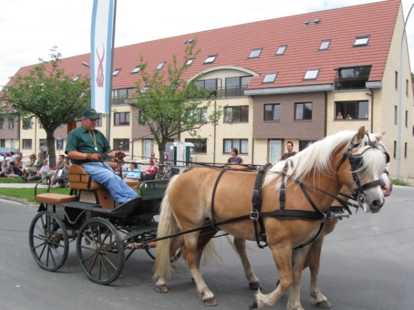 Sint-Paulus paardenprocessie Opwijk 08 047