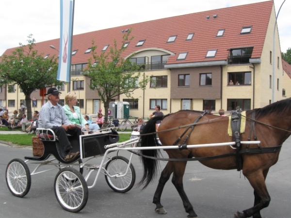 Sint-Paulus paardenprocessie Opwijk 08 049