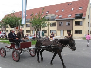 Sint-Paulus paardenprocessie Opwijk 08 050