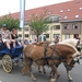 Sint-Paulus paardenprocessie Opwijk 08 051