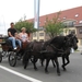 Sint-Paulus paardenprocessie Opwijk 08 054