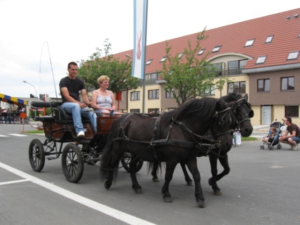 Sint-Paulus paardenprocessie Opwijk 08 054