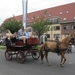 Sint-Paulus paardenprocessie Opwijk 08 057