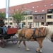 Sint-Paulus paardenprocessie Opwijk 08 058