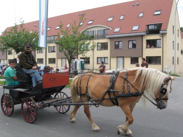 Sint-Paulus paardenprocessie Opwijk 08 058